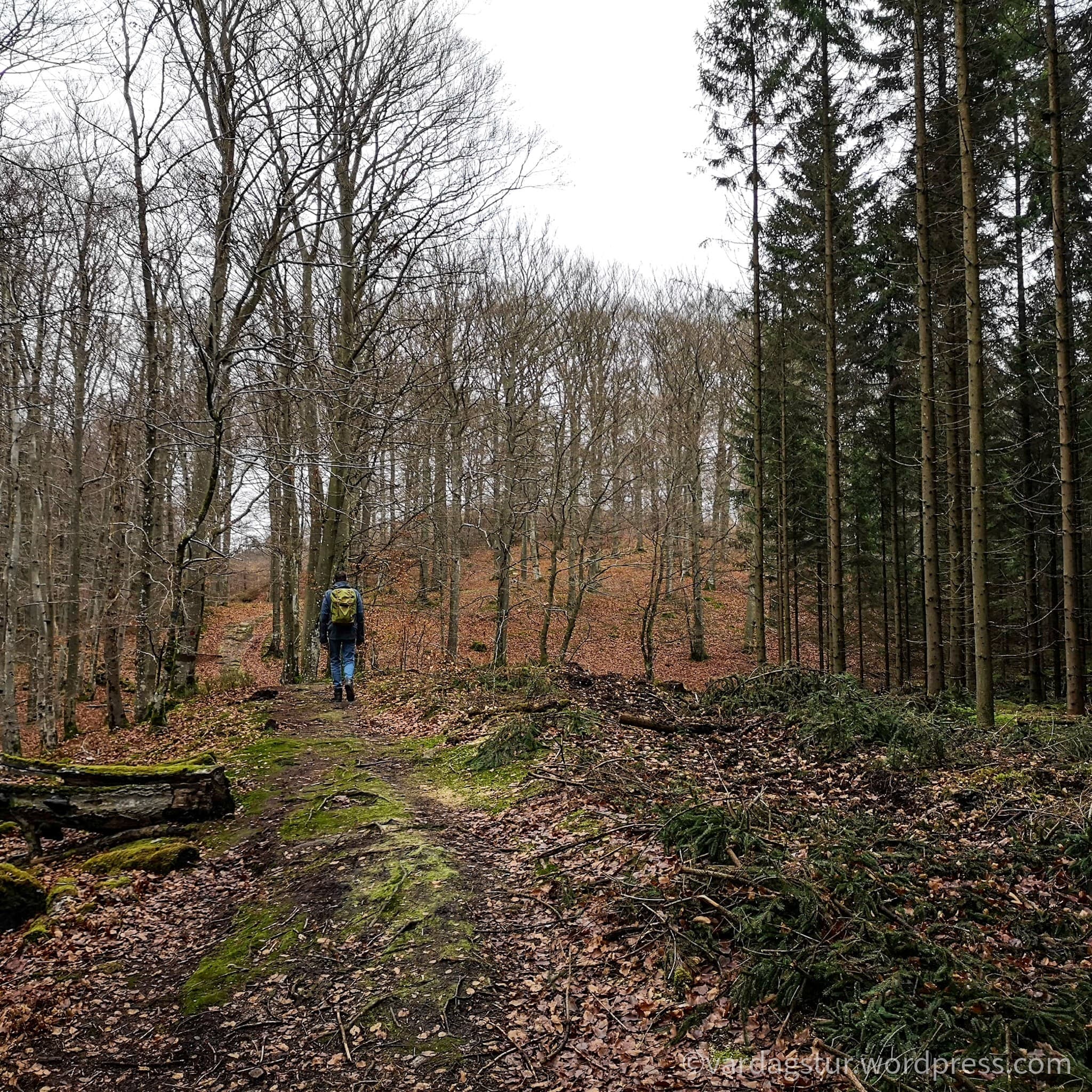 wp-16373576508968316179798441063896