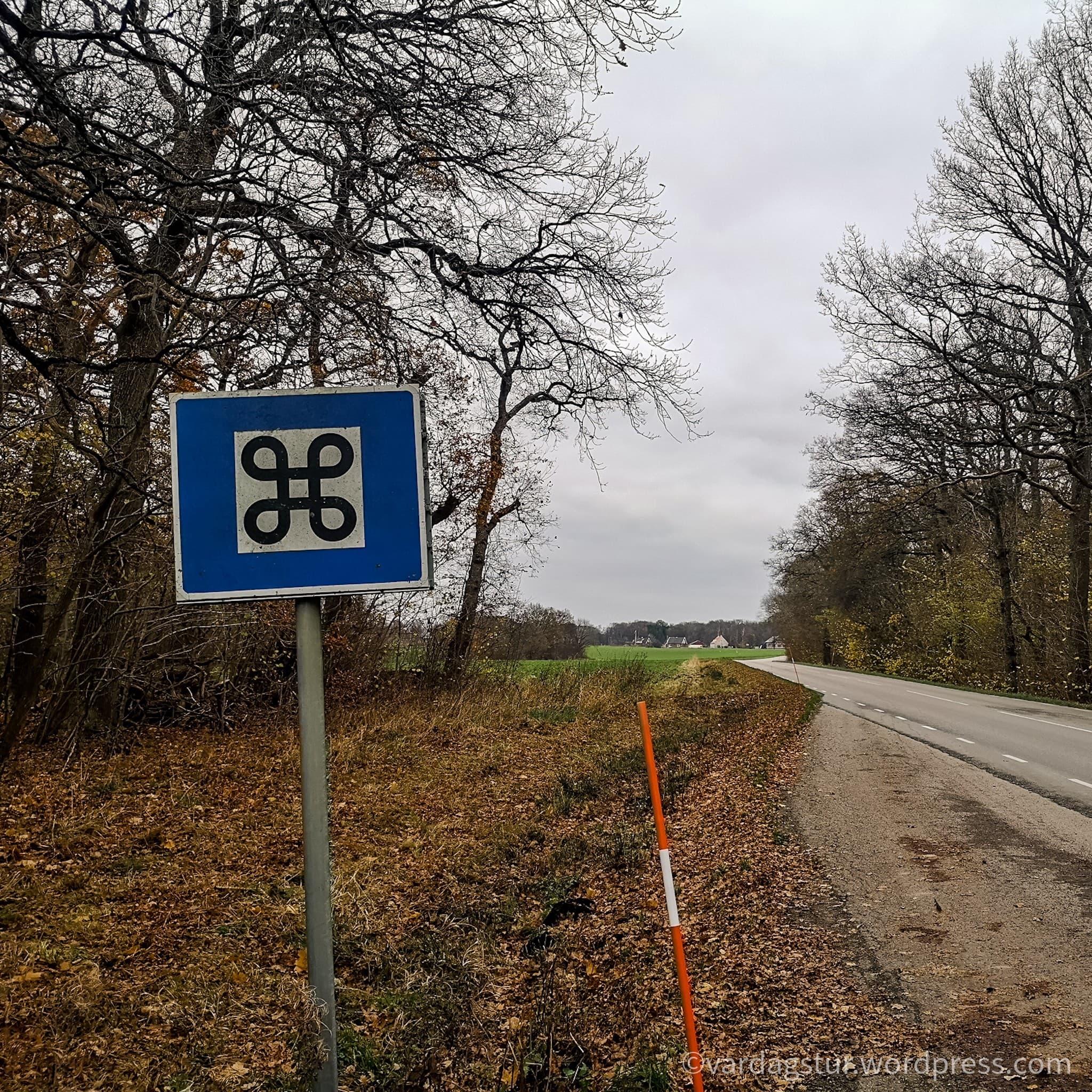 wp-16373585854702995382884565011201