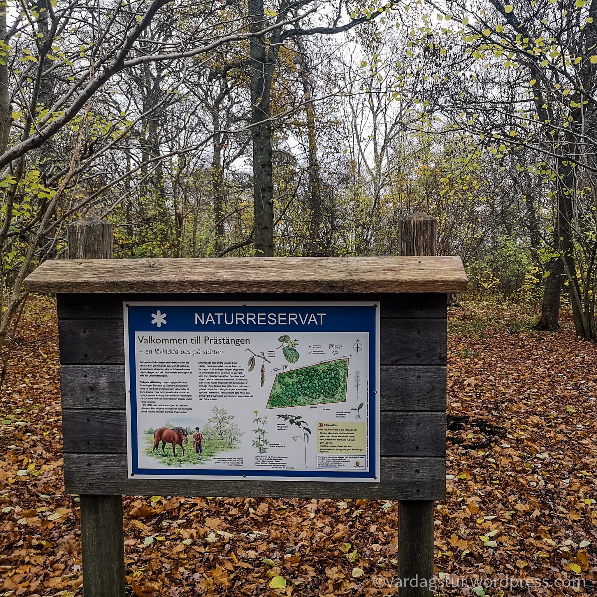 wp-16373585858851090893609891894378