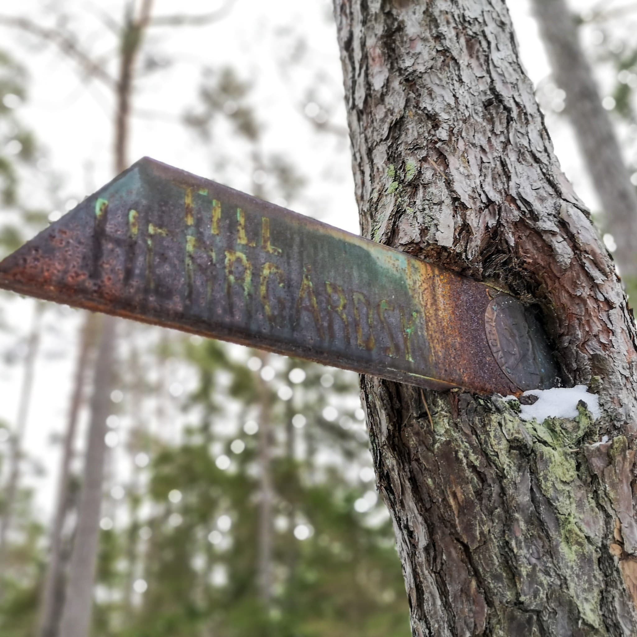 wp-16453460657911807770485741302491