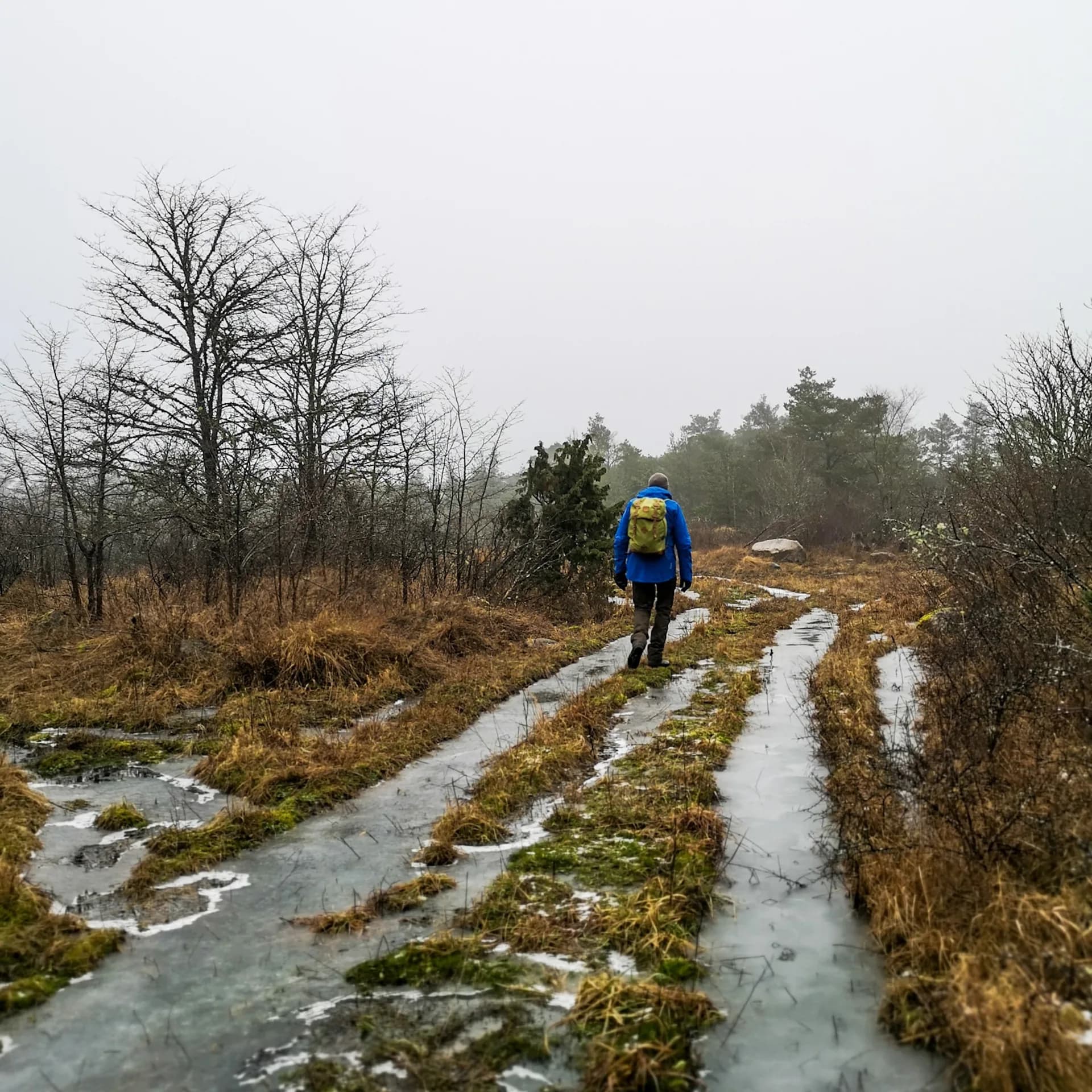 wp-16453854655615340681969590725230