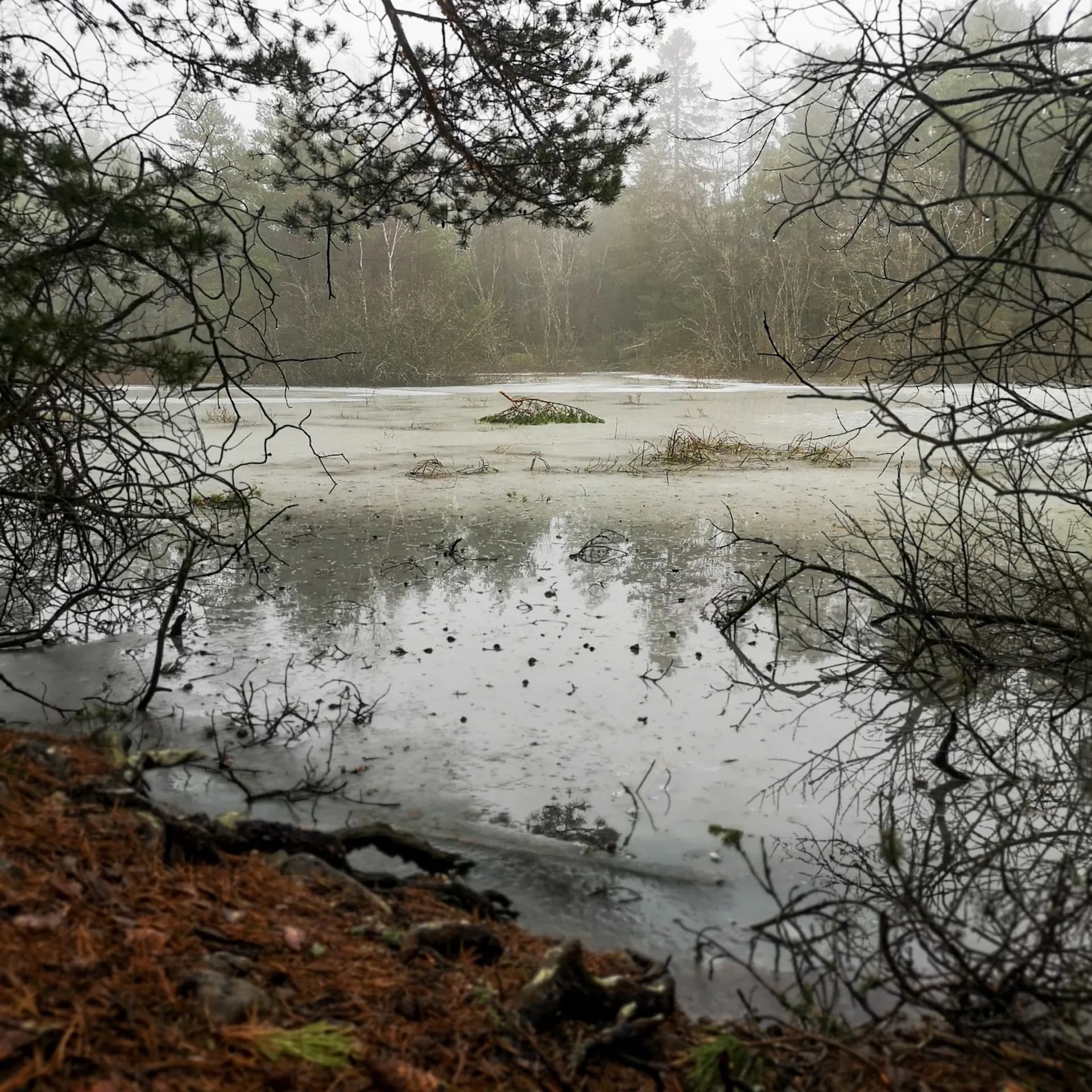 wp-16453854658564884426759163552019