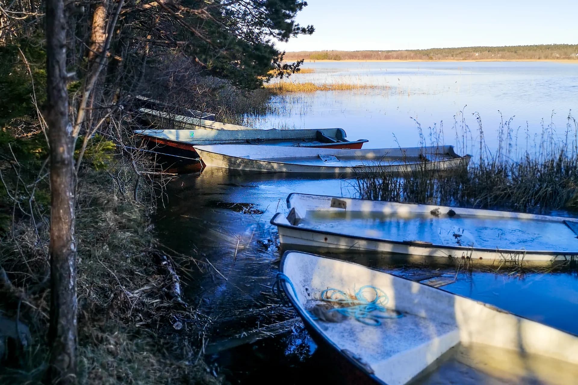 Vattenfyllda ekor vid sjöstrand