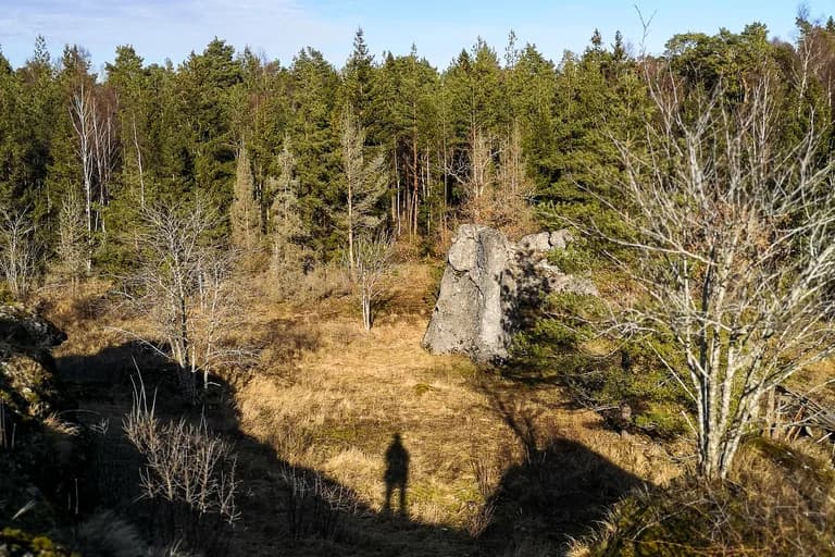 Skog och klippkant
