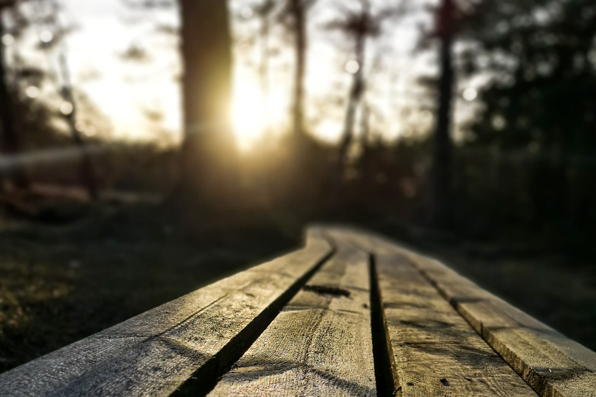 Spång i solnedgång