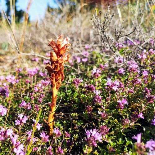 1-IMG_20200714_172555~2