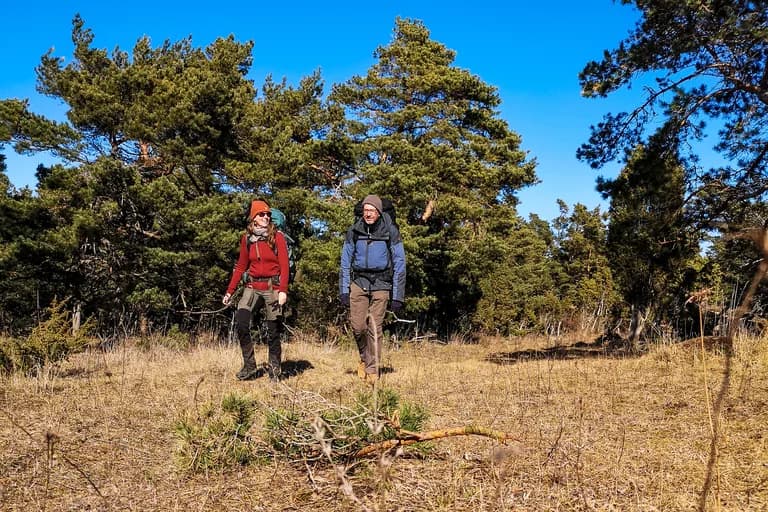 Två vandrare i solig skog