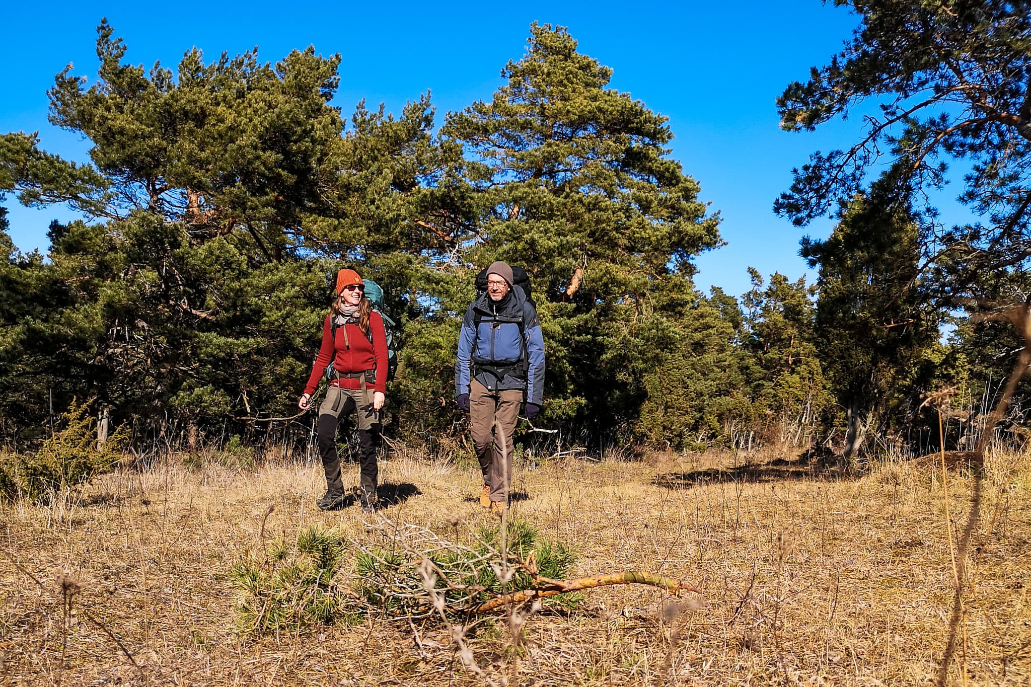 Två vandrare i solig skog
