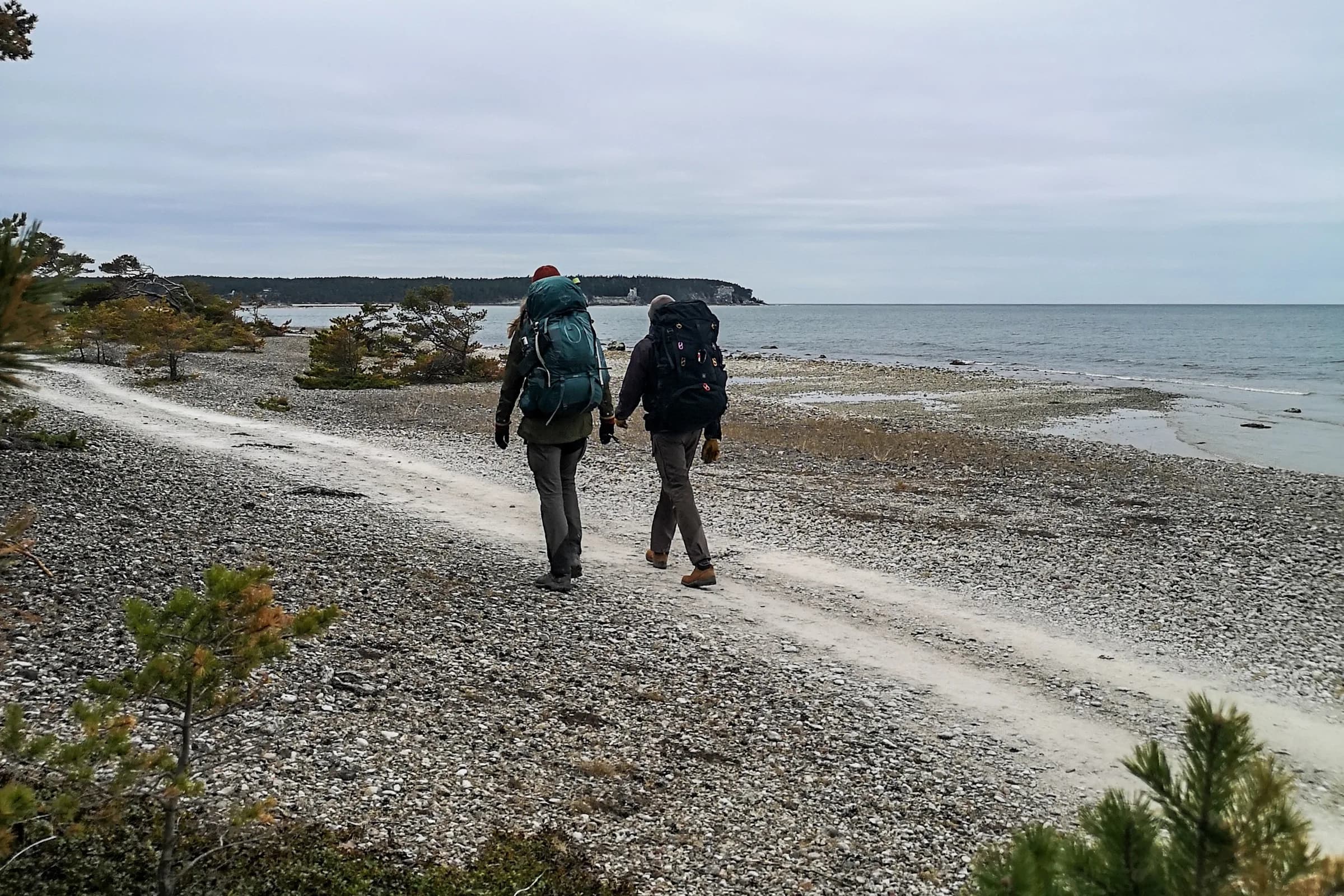 wp-16494865625144702880647785448847