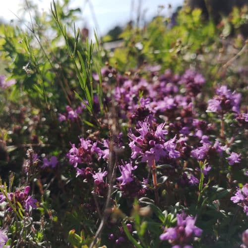 1-IMG_20200714_170146~2