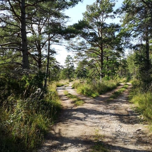 1-IMG_20200714_165242~2