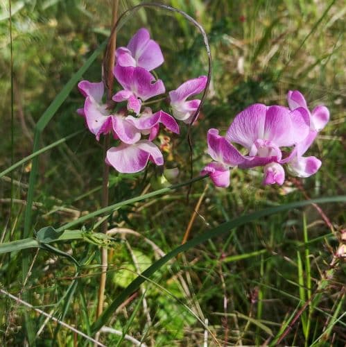 1-IMG_20200714_164202~2