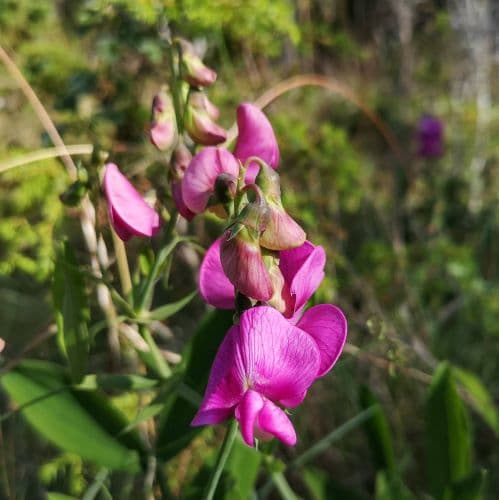 1-IMG_20200714_164105~2