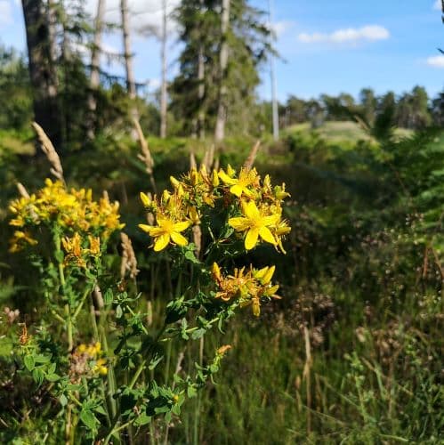 1-IMG_20200714_163107~2