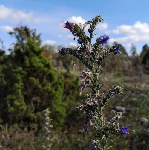 1-IMG_20200714_160051~2