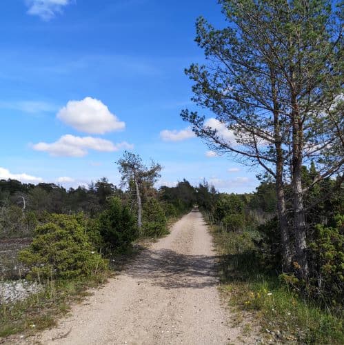 1-IMG_20200714_160019~2