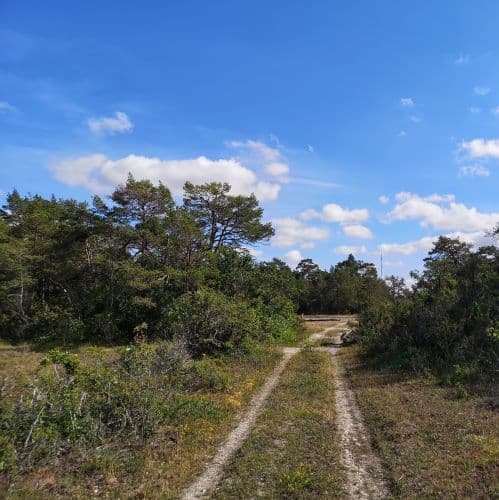 1-IMG_20200714_155609~2