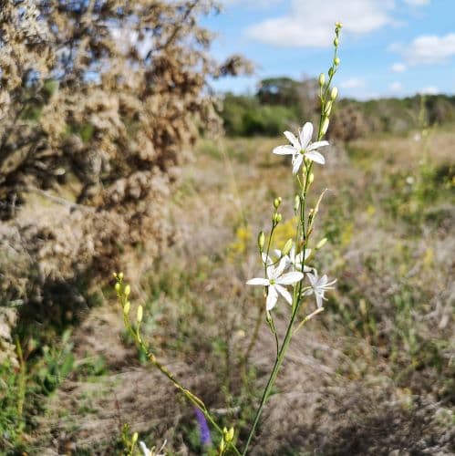 1-IMG_20200714_155421~2