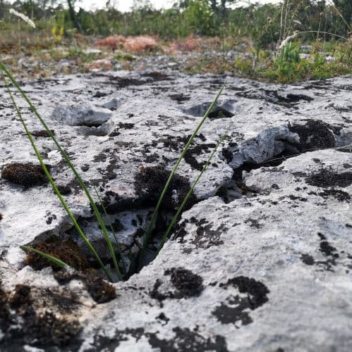 1-IMG_20200714_154051~2