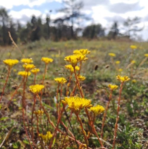 1-IMG_20200714_151940~2